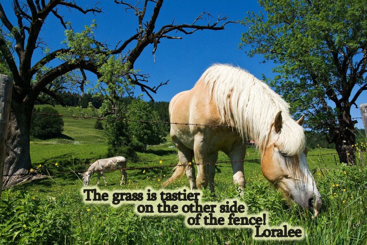 grass greenier copy (1)